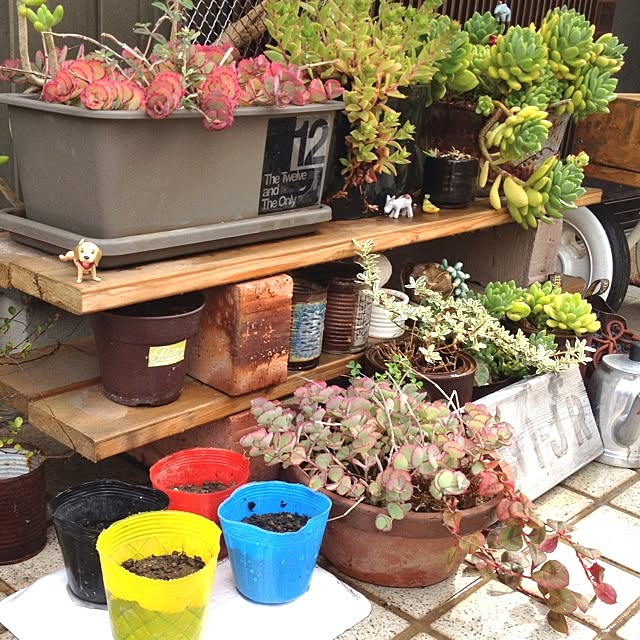 botanさんの実例写真