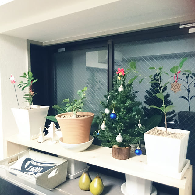 mayuko306さんの実例写真