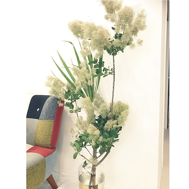 nozomiiさんの実例写真
