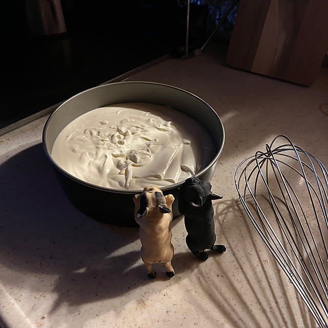 chi_gogaさんの実例写真