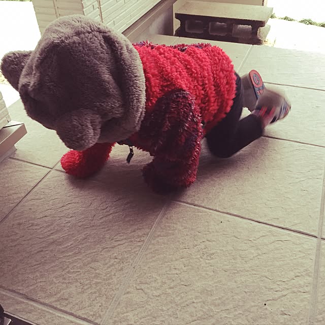 ychiy729さんの実例写真