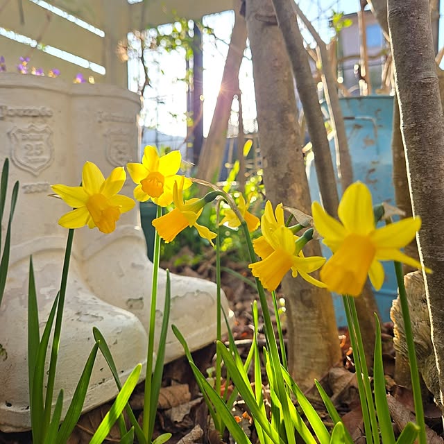 min_nimさんの実例写真