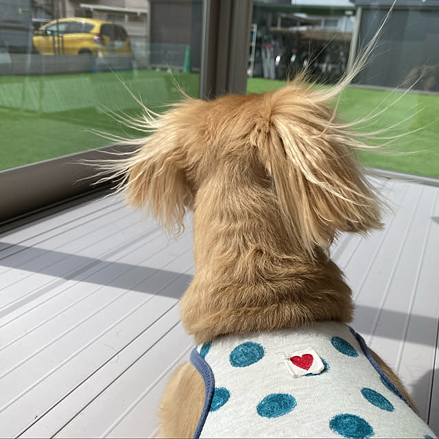 ponponcooさんの実例写真