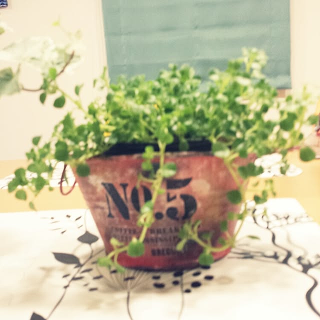 seiさんの実例写真