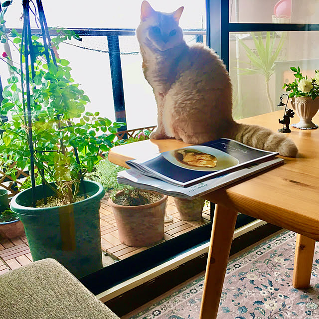 naokoさんの部屋