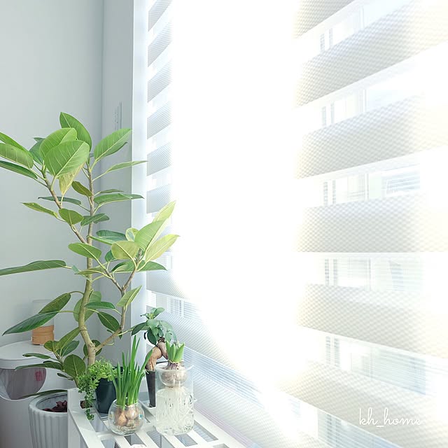 kh_homeさんの実例写真