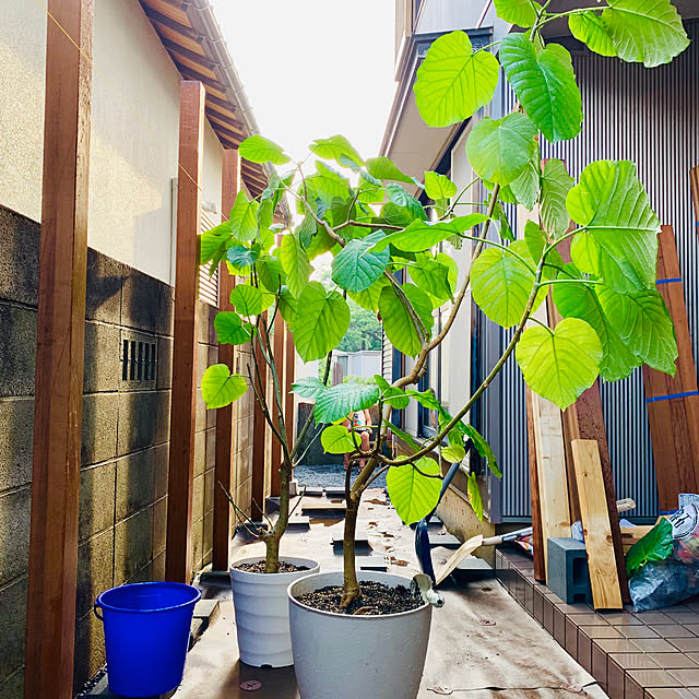 hiro1220さんの実例写真