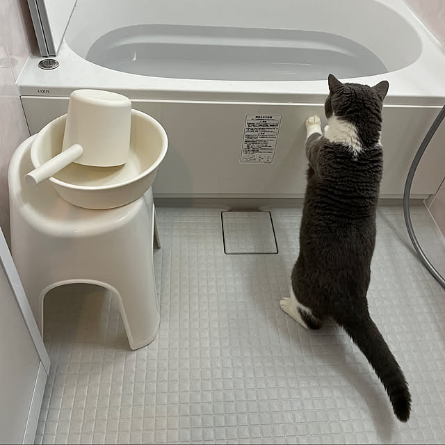 minaさんの実例写真