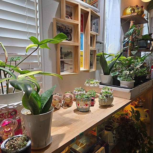 nonbiri_house_さんの部屋