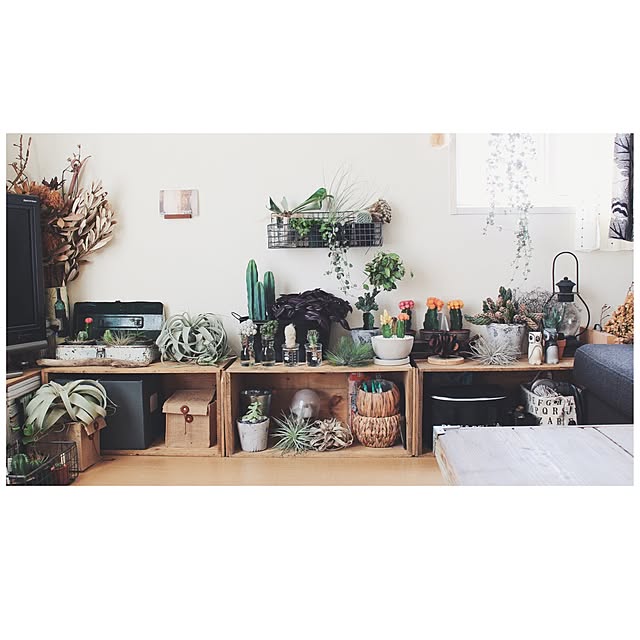 MMさんの実例写真