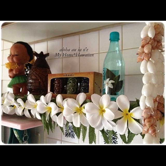 alohaauiao'eさんの実例写真