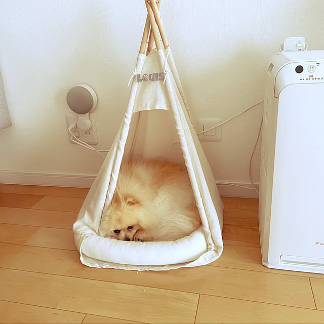 chi201さんの実例写真