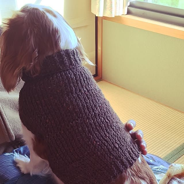 kinakoさんの実例写真