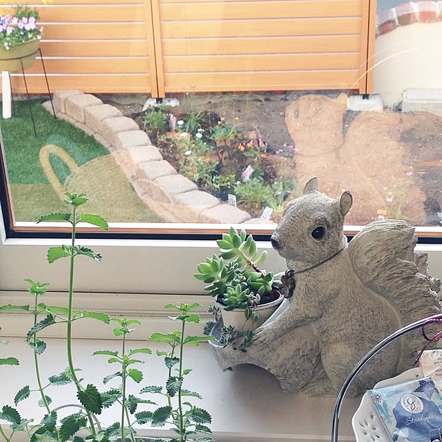cocoさんの実例写真