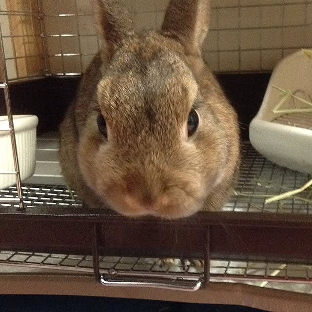 yuzu0223さんの実例写真