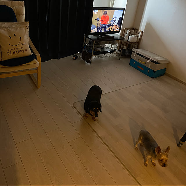ohanaさんの実例写真