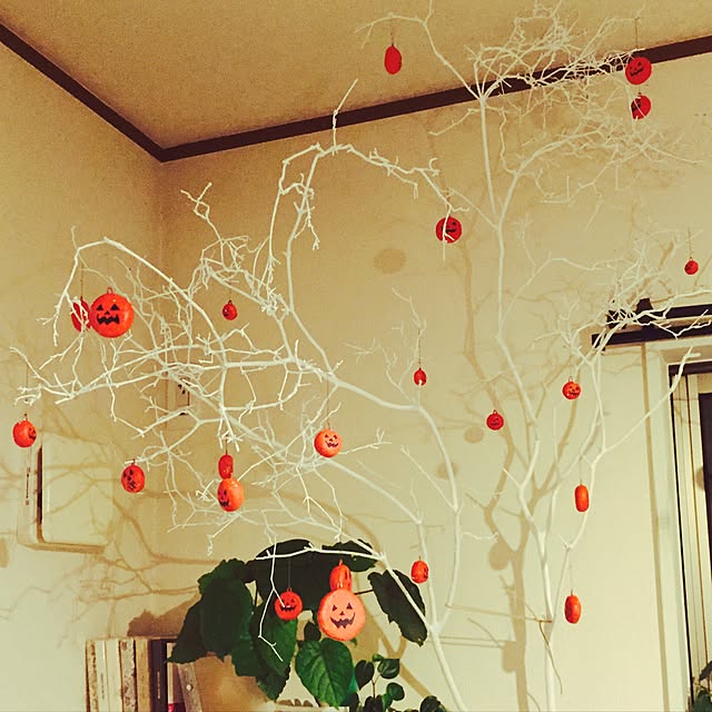 087さんの実例写真