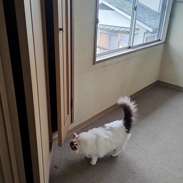sawa0127さんの部屋