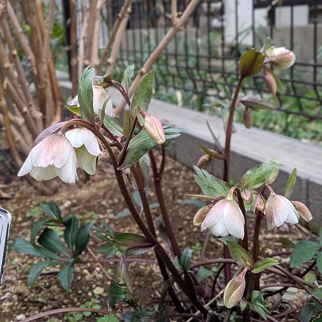 reeさんの実例写真