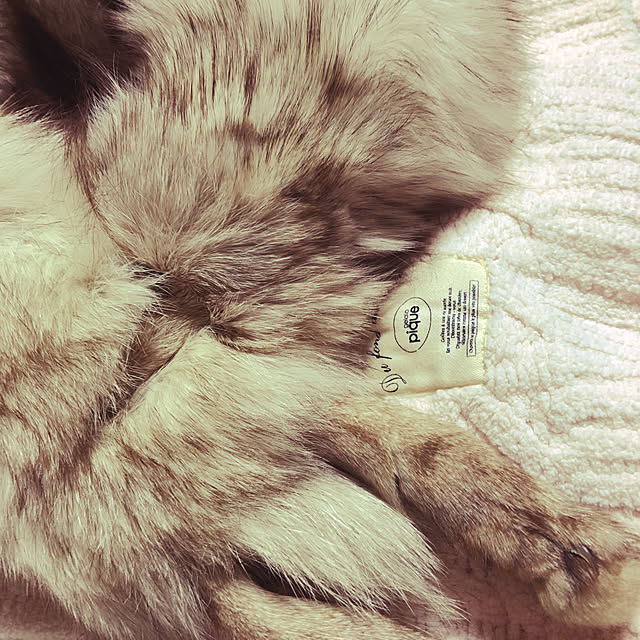 kotaさんの実例写真