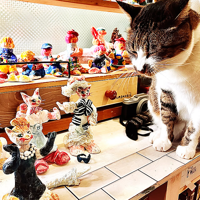 jijiさんの実例写真