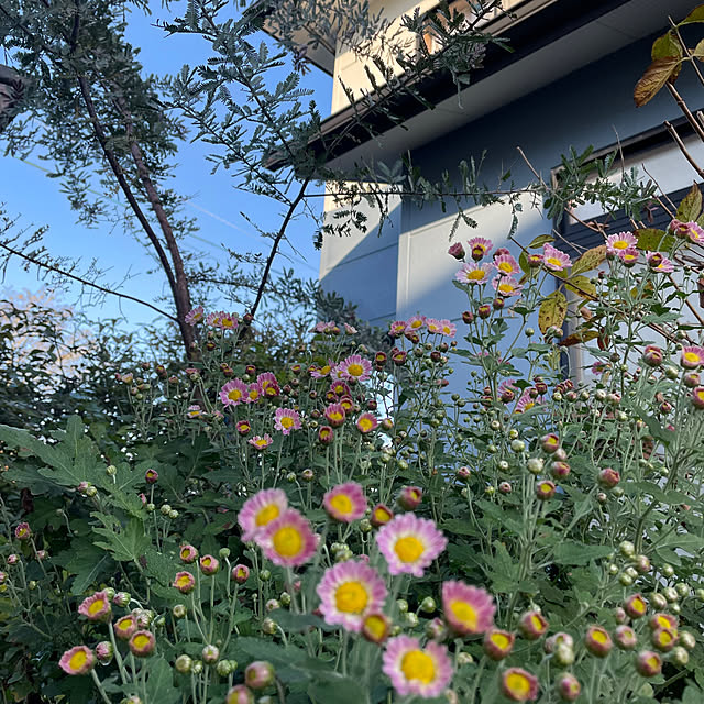 natsumiさんの部屋