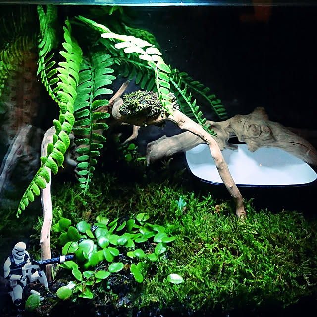 escalaさんの実例写真