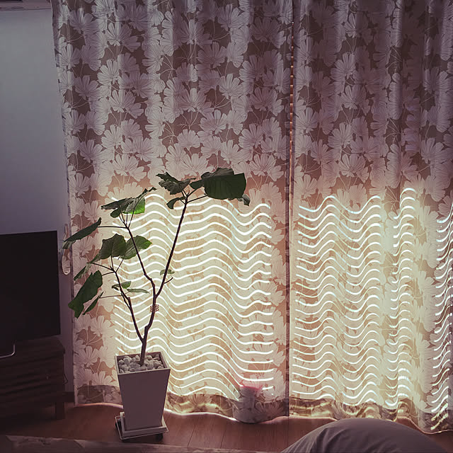 ychu39さんの実例写真