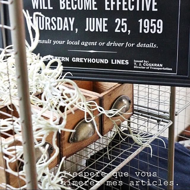 takimoto-manamiさんの実例写真