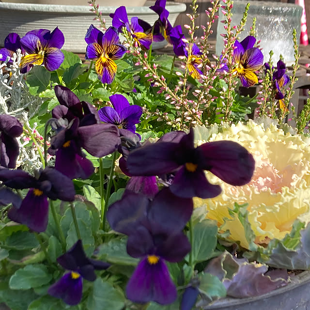 amiromikaさんの部屋