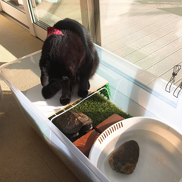 nanaさんの実例写真