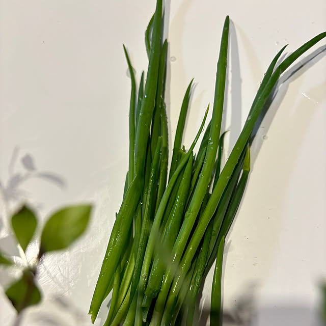 syutmmさんの部屋