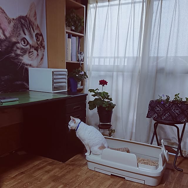 NOAHさんの実例写真