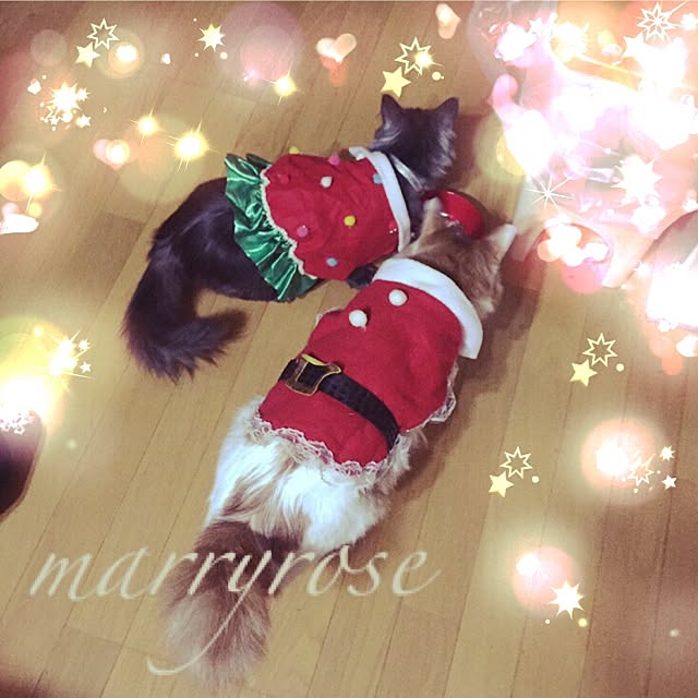 maria.rさんの実例写真