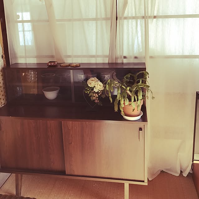 Shihoさんの実例写真