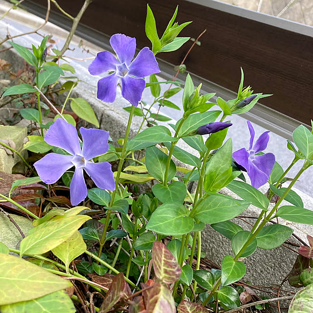 ayayayayaさんの部屋