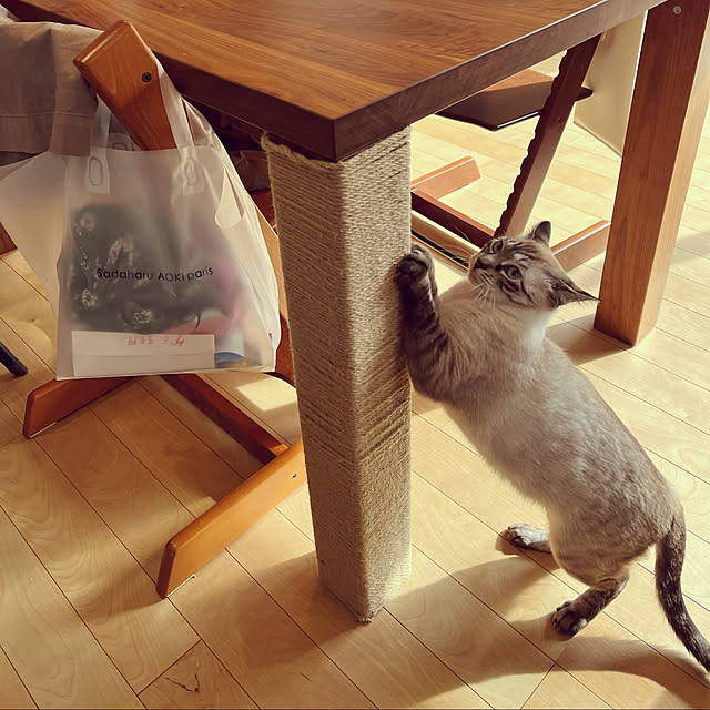 Vindiさんの実例写真