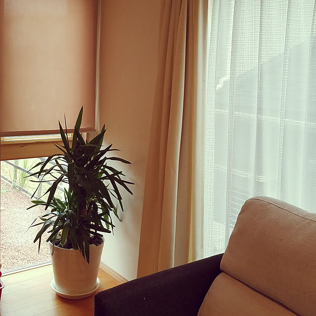 minyan.nekoさんの実例写真