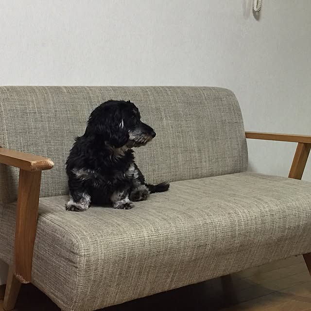 CHIZUさんの実例写真