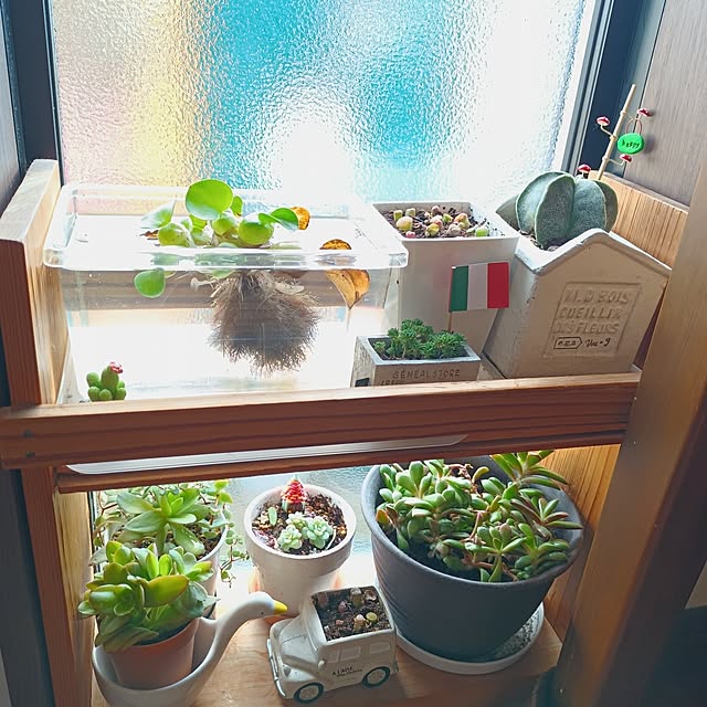 tomo5さんの実例写真