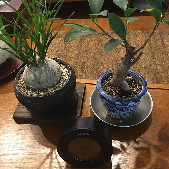 happy-sachiさんの実例写真