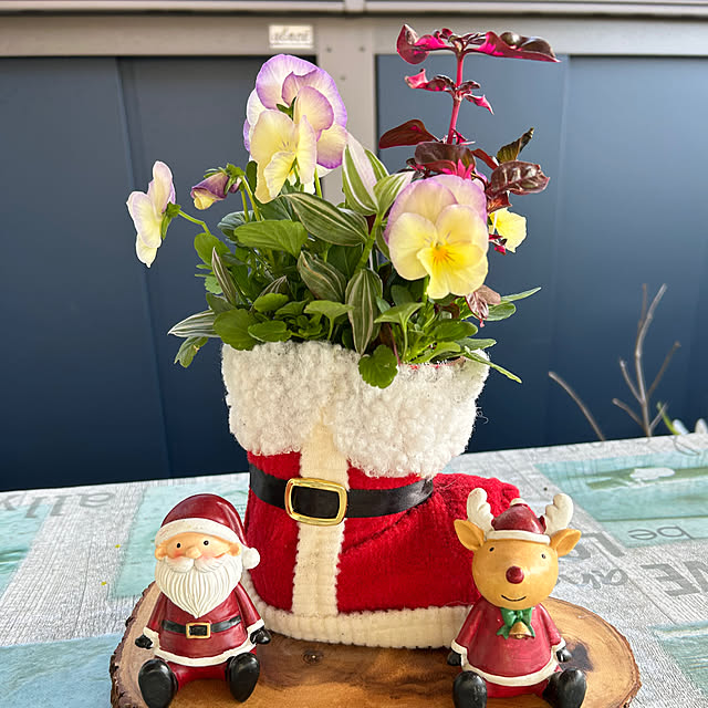 sukkorobiさんの実例写真