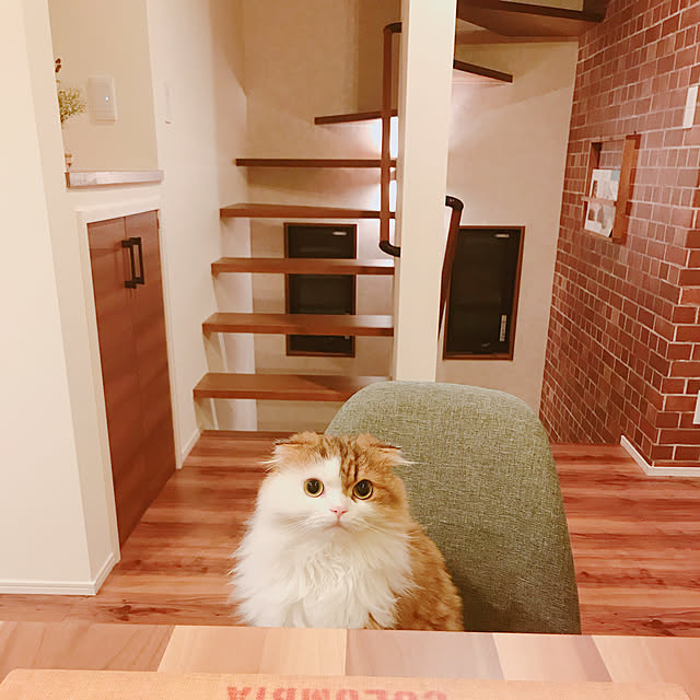 Maiさんの実例写真