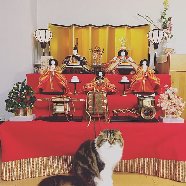 happyuiさんの実例写真