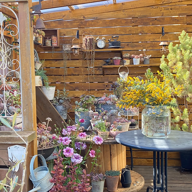 mintteaさんの実例写真