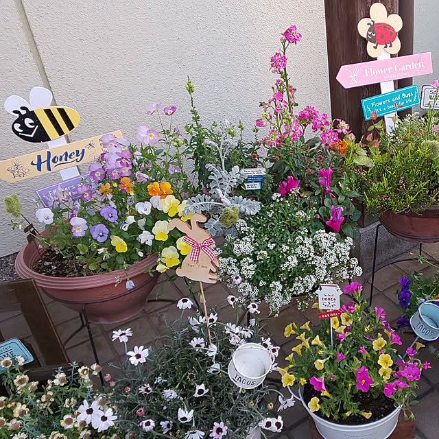 seiko44さんの実例写真