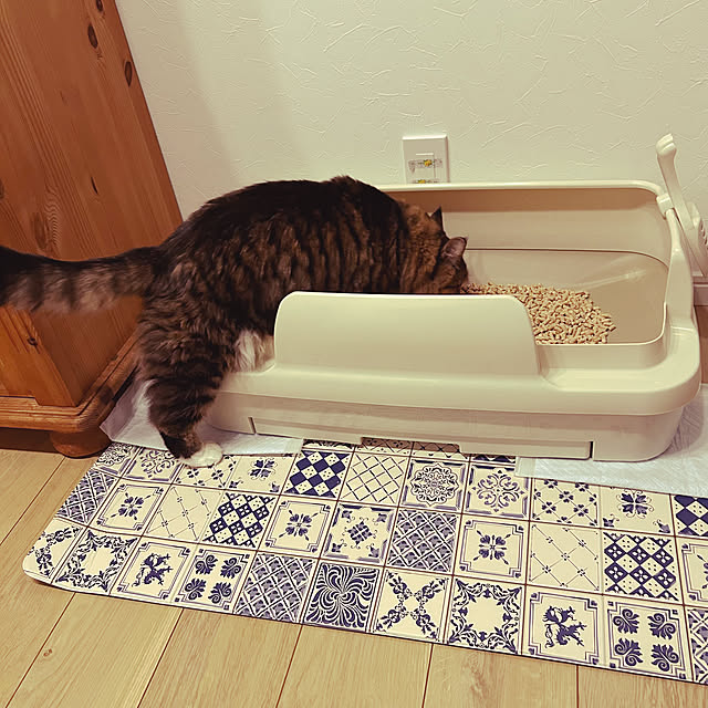 na-naさんの実例写真
