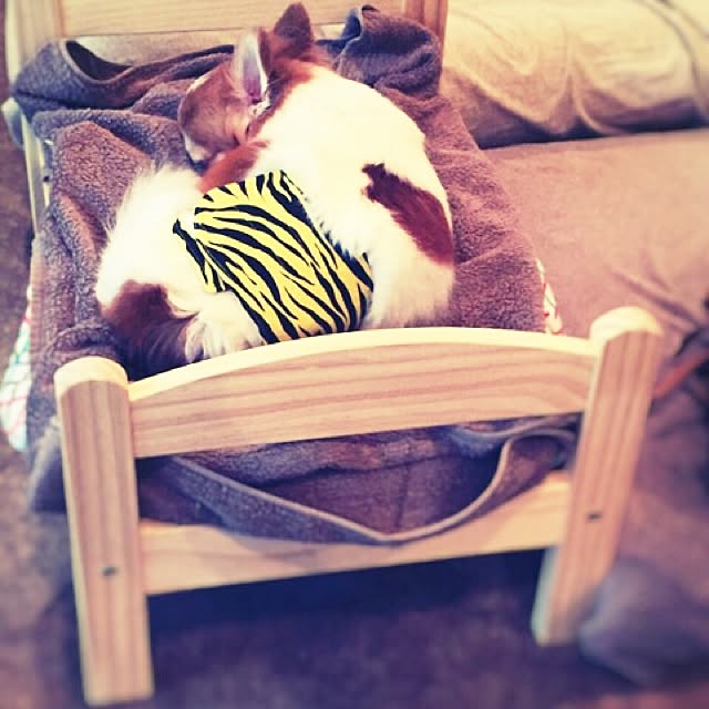 nanakoさんの実例写真