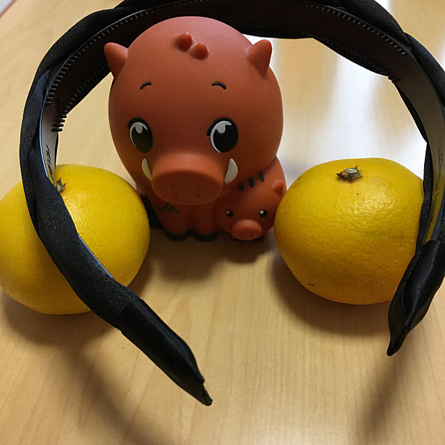 kakoさんの実例写真
