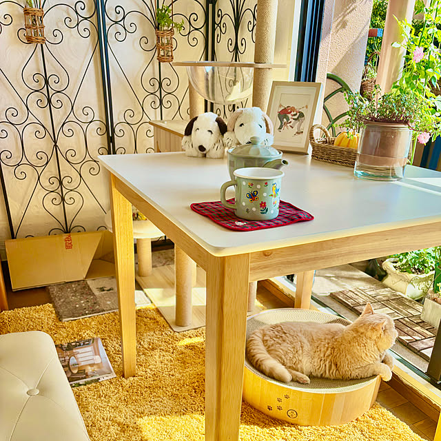 naokoさんの実例写真